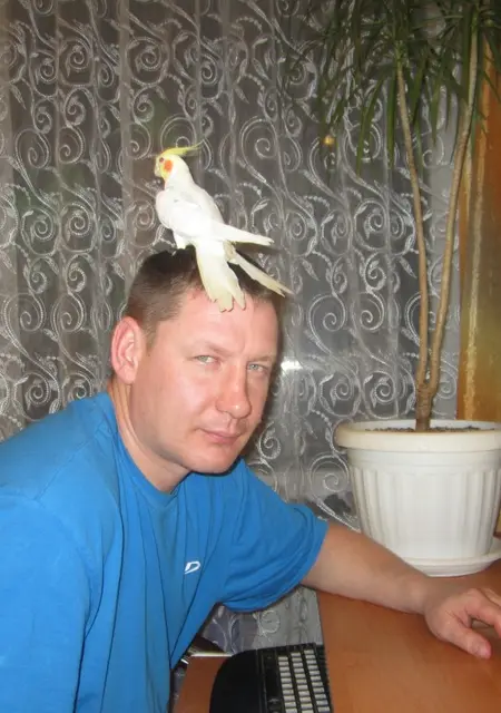 Гена з Кропивницького, мені 44 років, познайомлюсь