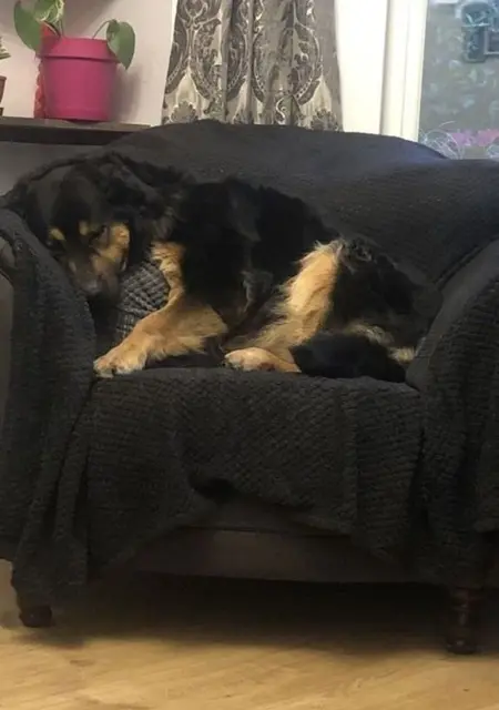 Я Max, 45, знакомлюсь в Лондоне