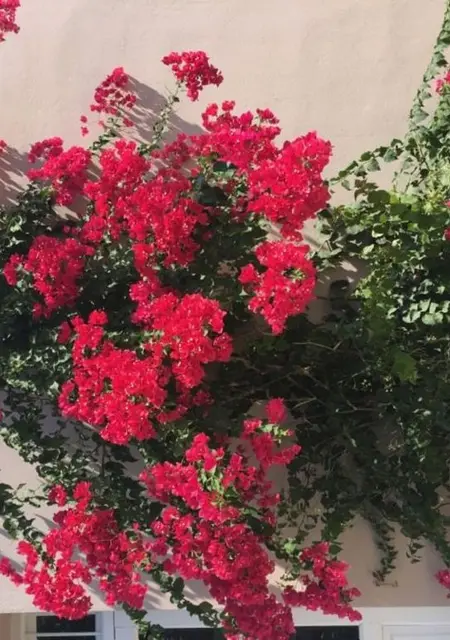 Miriam из Афин, мне 29, познакомлюсь