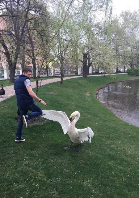 Я Михаил, 37, из Таллина, ищу знакомства на одну ночь