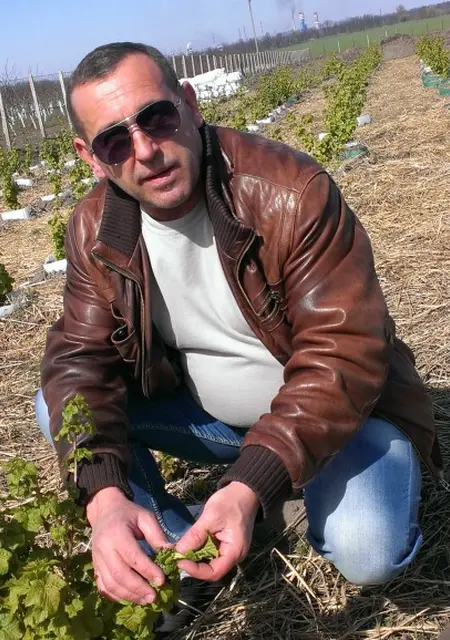 Сергей з Черкас, шукаю на сайті знайомства на одну ніч