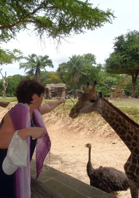 Я Лора, 53, знакомлюсь для дружбы в Харькове