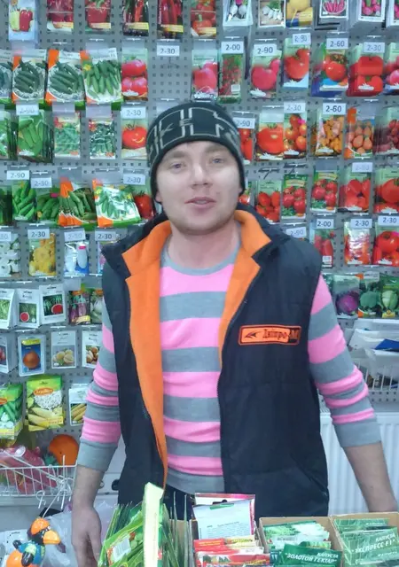 Я Эндрю, 39 років, знайомлюсь без зобов'язань у Василівка