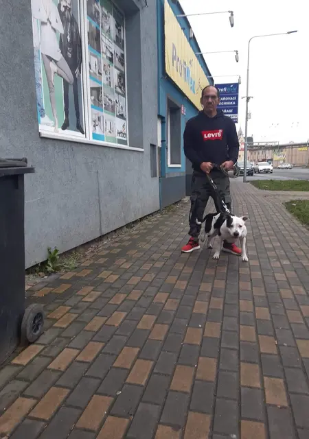 Milan из Праги, мне 54, познакомлюсь на одну ночь