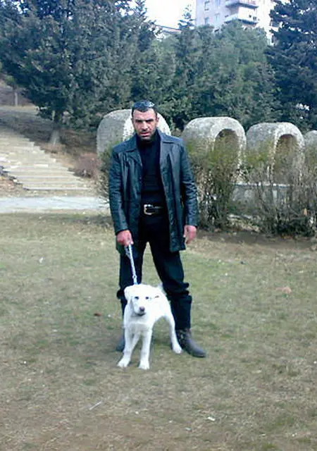 Datka из Тбилиси, ищу на сайте знакомства на одну ночь