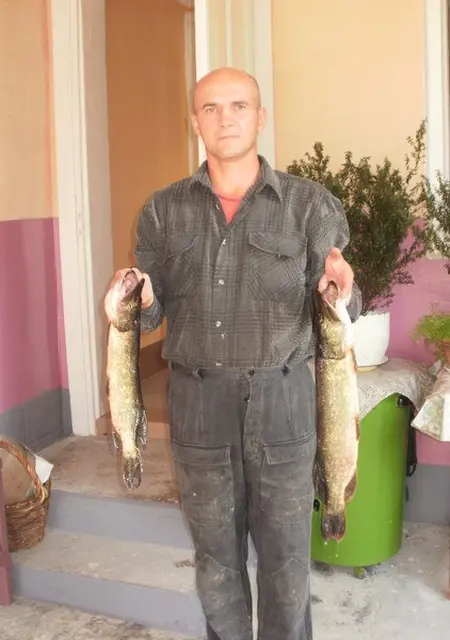 Я Ivan, 51 років з Львова, шукаю знайомство для вірт