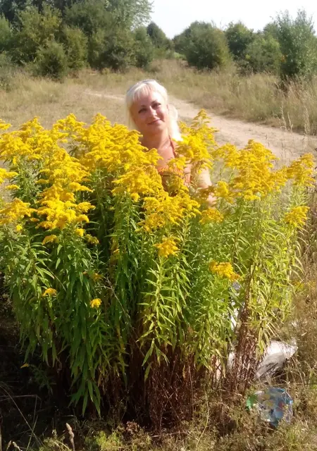 Я Гаечка, 52, знакомлюсь без обязательств в Минске