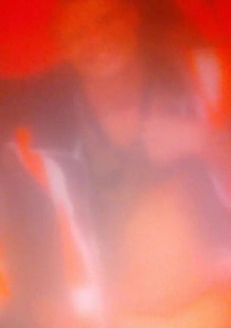 Я Petr, 40, из Праги, ищу знакомство