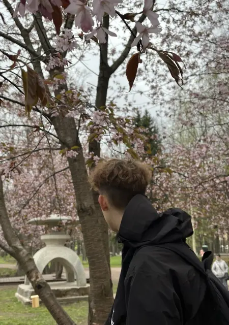 Даня из Дюссельдорфа, мне 19, познакомлюсь для вирта