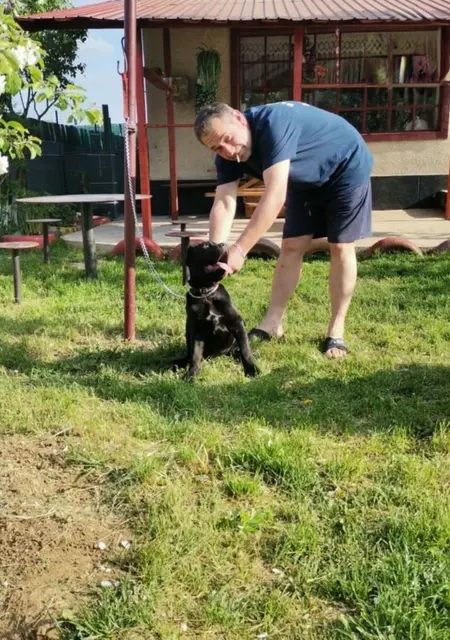 George из Бухареста, мне 41, познакомлюсь