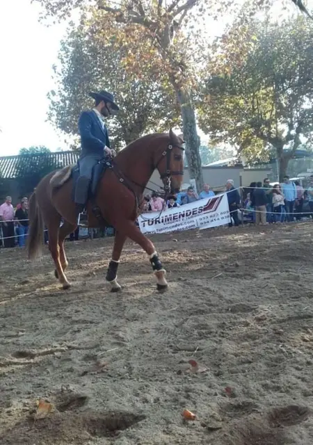 Я Joao, 44, из Лиссабона, ищу знакомство