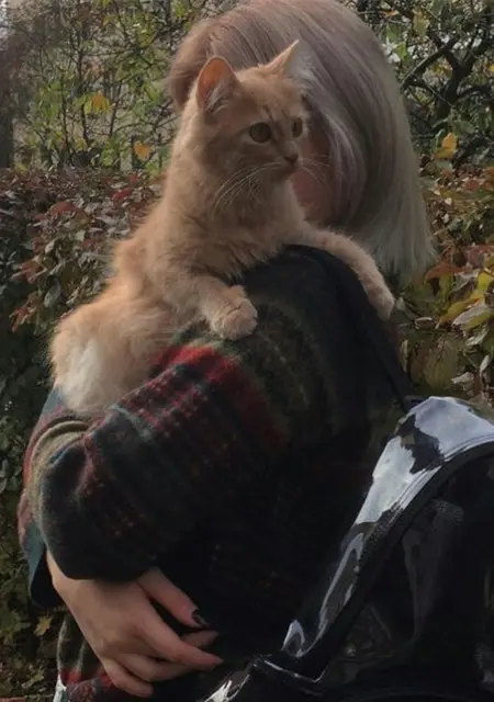 Кристина з Чернівців, шукаю на сайті постійні стосунки