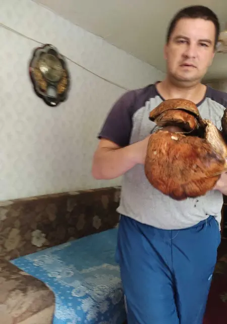 Виктор из Караганды, мне 40, познакомлюсь на одну ночь