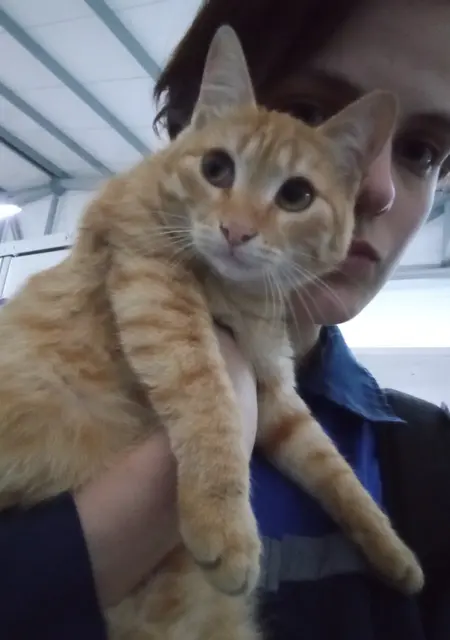 Я Даша, 25, знакомлюсь для постоянных отношений в Барановичах