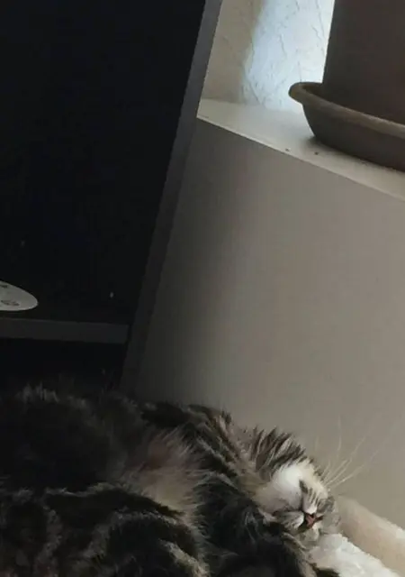 Celine из Парижа, мне 38, познакомлюсь