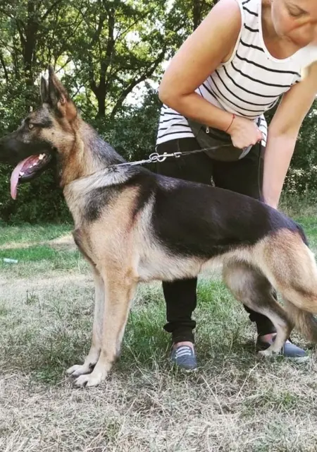 Я Ирина, 35, знакомлюсь в Праге