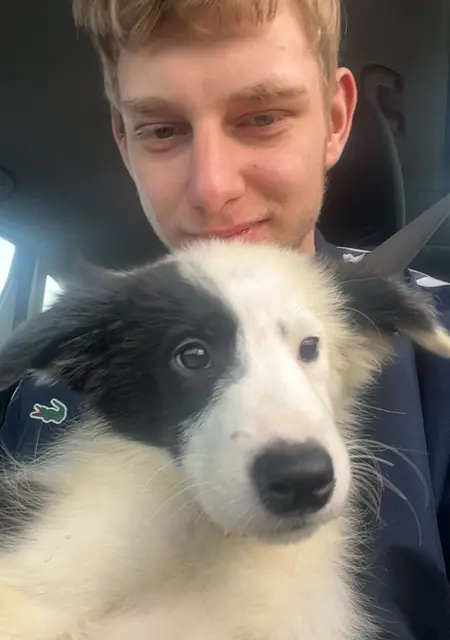 Maks из Вроцлава, ищу на сайте открытые отношения