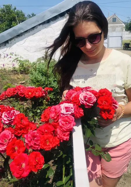 Anna з Харків, шукаю на сайті спілкування