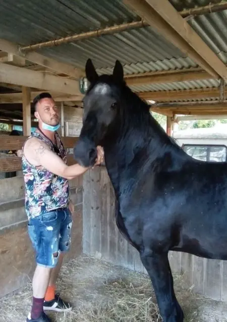 Robert из Лиссабона