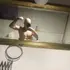 Я Samuel, 19, из Брно, ищу знакомства без обязательств