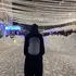 Даниил из Парижа, мне 25, познакомлюсь для совместных путешествий